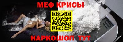 СК Гатчина