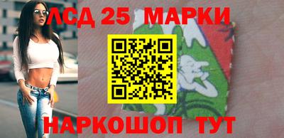 СК Гатчина