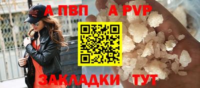 СК Гатчина