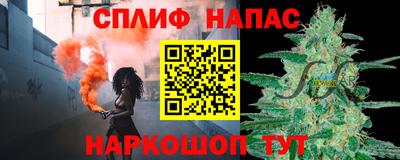 СК Гатчина