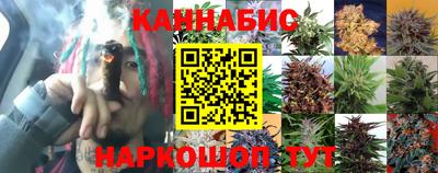 MDMA Гай