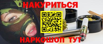 СК Гатчина